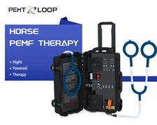 Hot PEMF Therapy Machine for Horses - Equine Massage PMST Loop Relax Massage