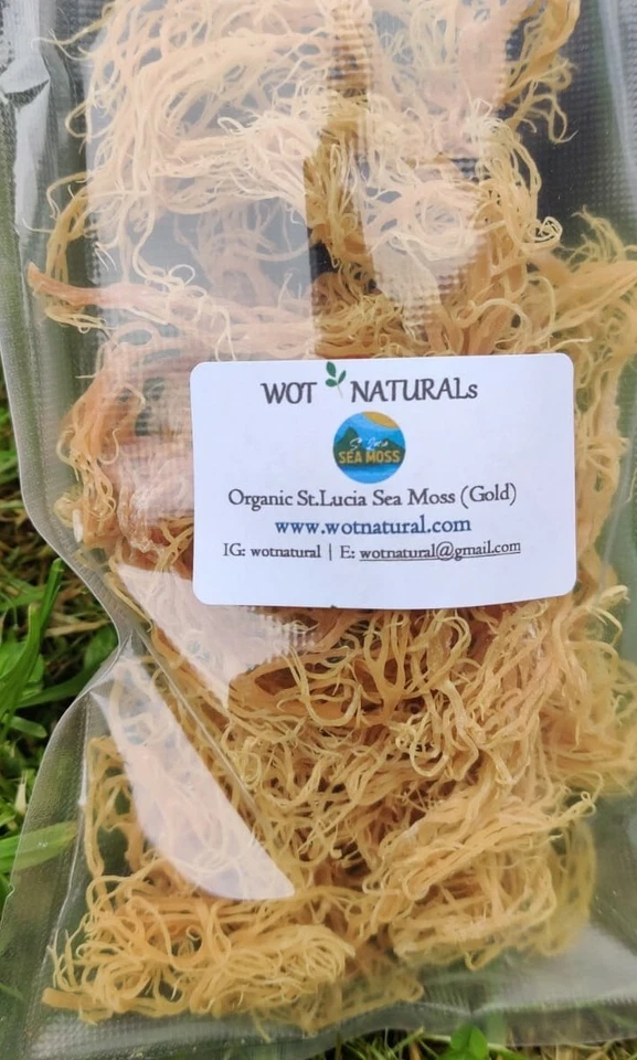WOTNATURAL SEA MOSS (Irish moss) 100% ORGANIC WILD CRAFTED IN ST LUCIA 70g UK Free P&P