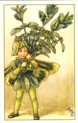THE BOX TREE FAIRY from Flower Ferries by Cicely M.Barker postcard