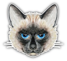 Cat Face Watercolor Animal Car Bumper Sticker Decal - ''SIZES''