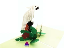 3D Pop Up Greeting Card Handmade Parrot, Birthday, Christmas, Holidays, Vacation