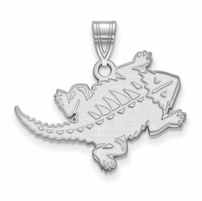 Großer Anhänger Sterlingsilber Texas christlicher gehörnter Frosch