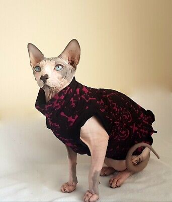 Elegant Sphynx Oat Top For A Sphynx Cat Cat Clothes Katzenbekleidung Hotsphynx Ebay
