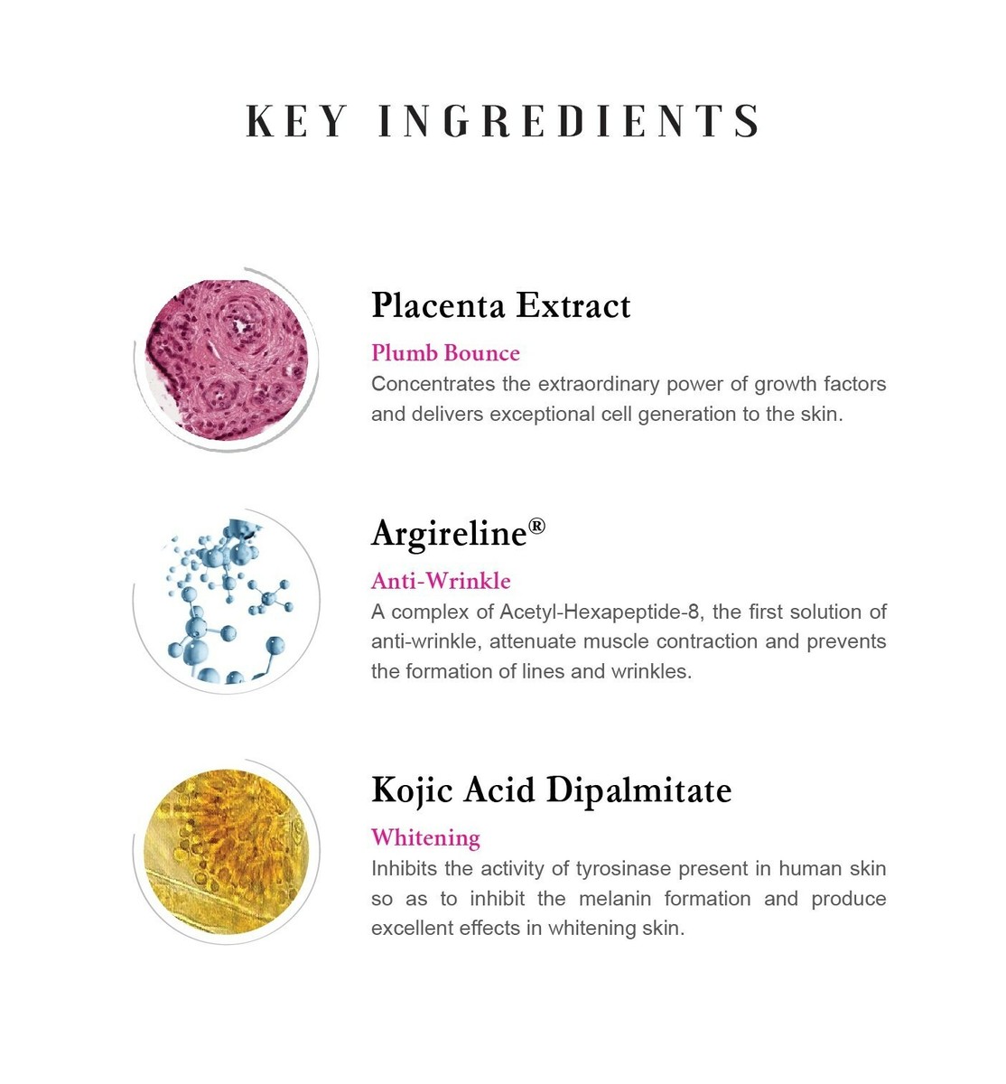 PLACENTA EXTRA complete cream 30g スパチュラ付 s-l1200.jpg