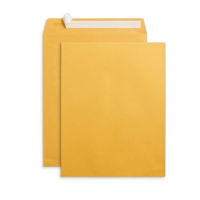100 10  x 13  Catalog Envelopes, Self Seal, For Mailing Catalogs, Magazines