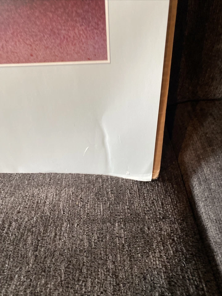 "Libro de arte Donald Duck Gottfried Helnwein 1984 impresión de póster Walt Disney 38"" X 26""" Foto 2 de 4