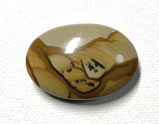 Owyhee Picture Jasper Cabochon