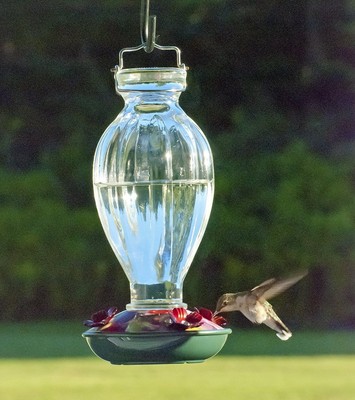 Audubon Na35243 Fluted Glass Bottle Hummingbird Feeder 20 Oz Ebay