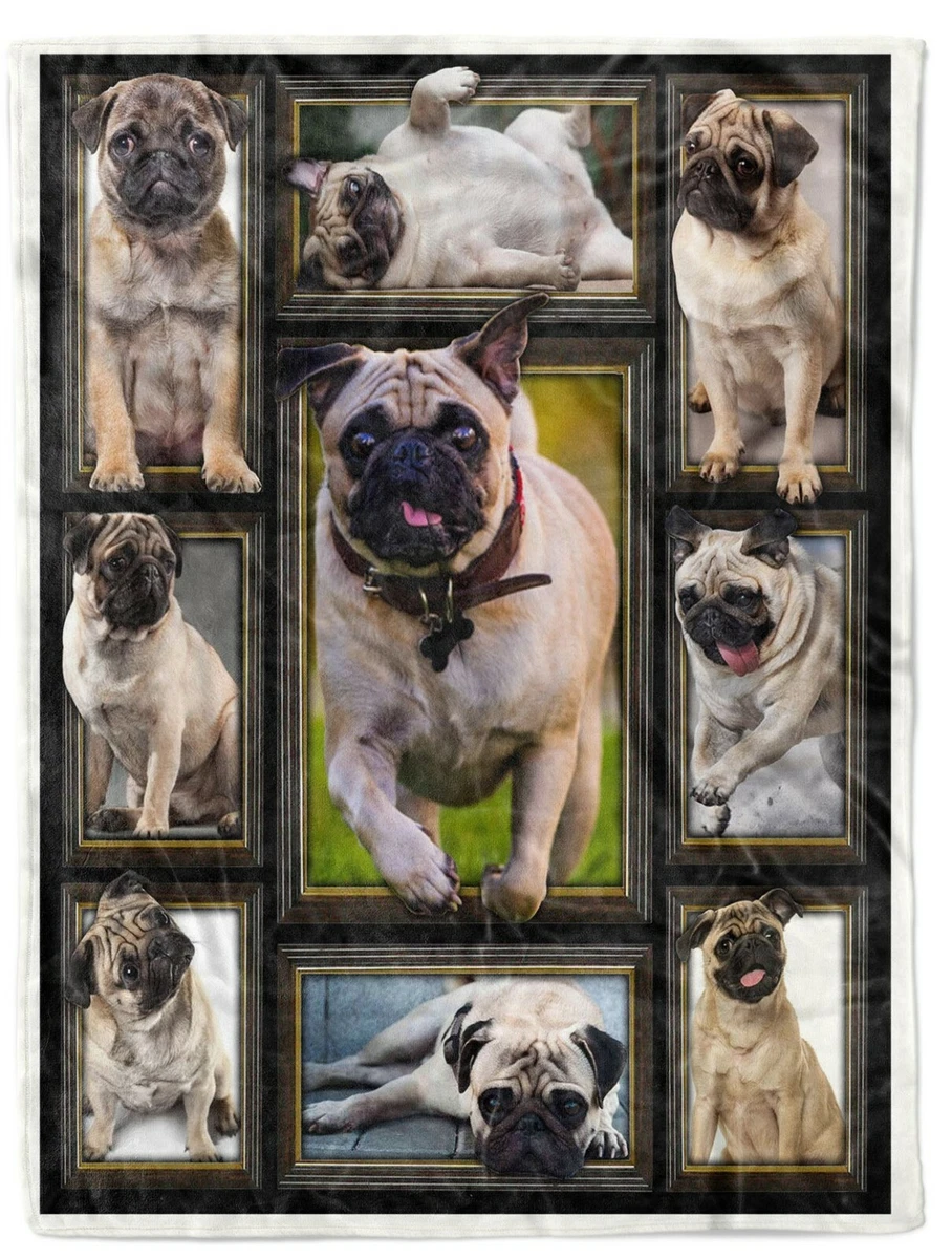 Pug sherpa blanket top