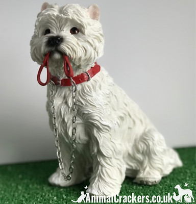 large white terrier