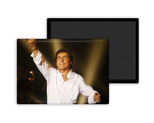 Magnet Frigo Personnalisé Dorothée - 54x78mm, En Métal, Souvenir Fan Made En France