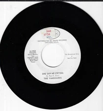 THE VANGUARDS/SHE SAW ME CRYING/REAR VIEW MIRROR/PROMO  USED 45RPM