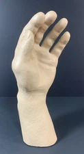 Male Hand Replica Nasco Plastics 10" Model Desktop, Realistic, Display Medical