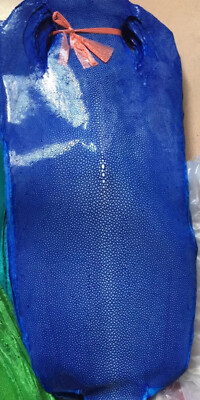 #ad Royal Blue Polished Real Stingray Leather Hide Shagreen Skin Pelts 4 10 Inch $67.29