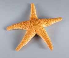 Asteroidea Starfish Fish Animal Toy PVC Action Figure Doll Kids Toys Party Gifts