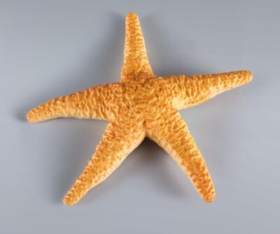 Asteroidea Starfish Fish Animal Toy PVC Action Figure Doll Kids Toys ...
