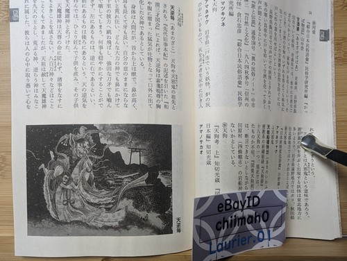 JAPAN Yokai Encyclopedia Book Shigeru Mizuki Japanese Monster illustration MZ - Picture 3 of 15