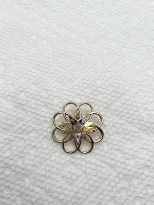 Vintage Order Of The Eastern Star Brooch, Pen!!!S1￼