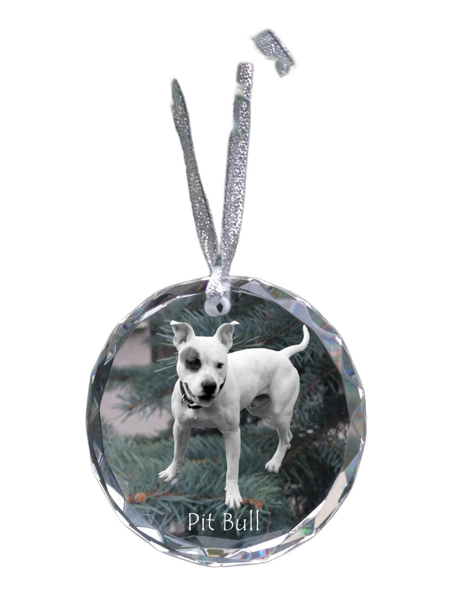 Pit Bull, American Pit Bull Terrier, Pitbull Terrier, APBT crystal bauble  with