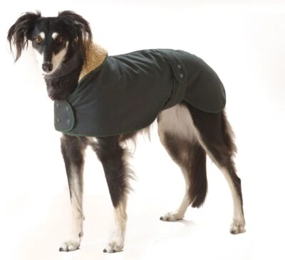 STITCH AND TURN FACTORY SECOND - GREYHOUND / WHIPPET WAXED DOG COAT. MADE IN THE UK.