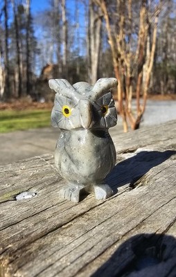 Owl