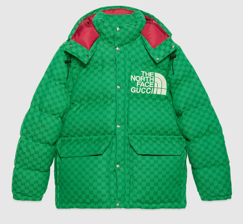 Gucci x The North Face Green Red GG 