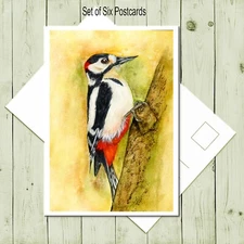 Set of Six Postards, Woodpecker  -  Wildlife Print from my Own Original Painting