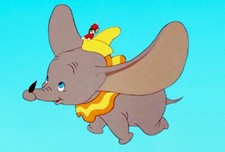 DUMBO Photo Magnet  3"x5"