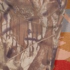 Picture 6 of 24