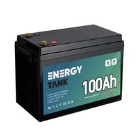 Lifepo4 12V 100Ah Batterie Solar Akku Wohnmobil Boot Bms Bluetooth Off‑Grid