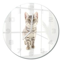 Glasuhr Moderne Wanduhr Aus GehäRtetem Glas Graue Katze WeißE Zeiger Fi30 Cm