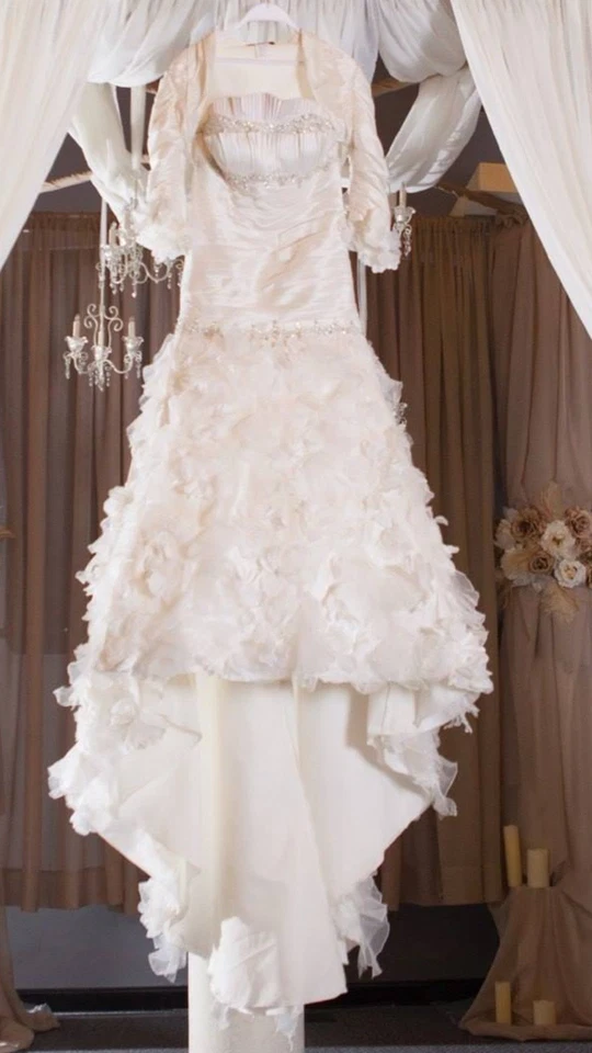 Demetrius婚纱礼服 — 第 2/4 张图片