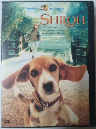 DVD Collection - Great Selection to Choose From, Some Rare & Out of Print Movies - Picture 168 of 217