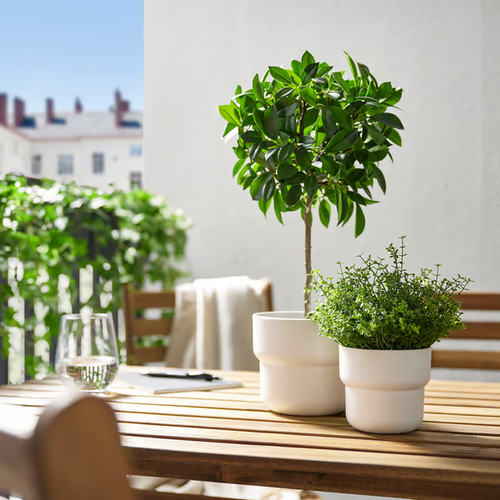 IKEA FEJKA Artificial Potted Plant – Indoor/Outdoor, Realistic Greenery 3 Sizes - Picture 15 of 15