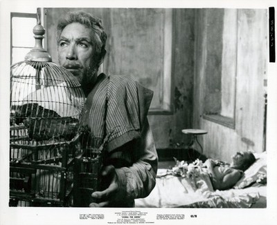 Anthony Quinn in Alexis Zorbas (1965)   VintageHollywood Photo 1001K