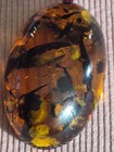 Chunky Baltic Amber Pendant Necklace Cognac Sun Spangles Adjustable Cord 24-30" — photo 8