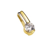 F AnhäNger 333/- Gold Zirkonia Weiß Damen Bicolor Neu