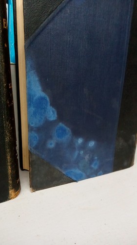 COMPLETE 12 Volume Set The Jewish Encyclopedia Funk & Wagnalls 1916 FREE SHIPPNG - Picture 15 of 19