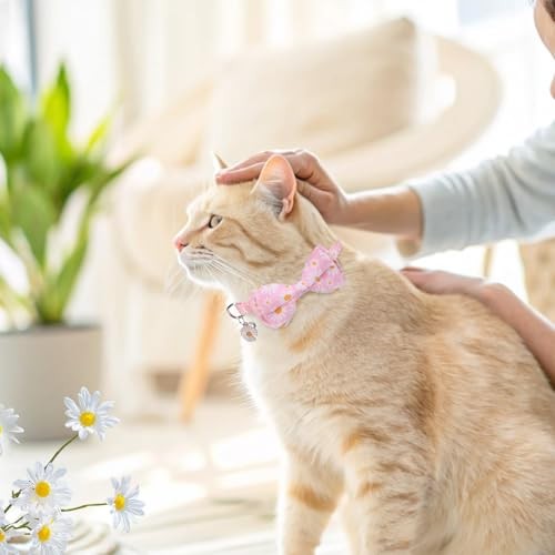 Collare per Gatti con Campanelle, Confezione da 2 Bandane e Fiocco per Gatti Staccabili (Rosa Margherita) - Foto 2 di 6