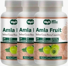 Amla Fruit Extract Capsules 540 Pills, 270 Days Supply(3 Packs) Amalaki Fruit