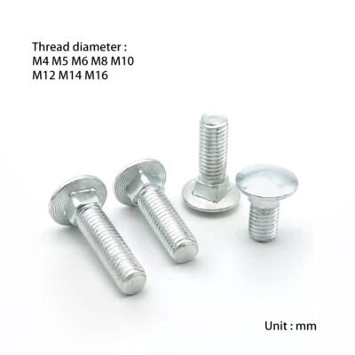 M10 M12 M14 M16 White Zinc Plating Half round head square neck carriage screws