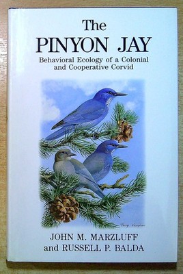 Marzluff, John & Balda, Russell THE PINYON JAY: BEHAVIORAL ECOLOGY OF A COLONIAL