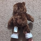 Build-A-Bear Workshop Great Wolf Lodge Wolf Plush Glow Hoodie Hat Headband — photo 10