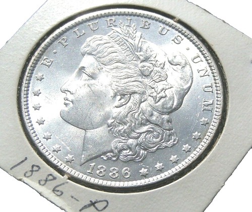 標本 Ecuador Onorelucanus aequatorianus 18mm Ecuador, 1 Sucre