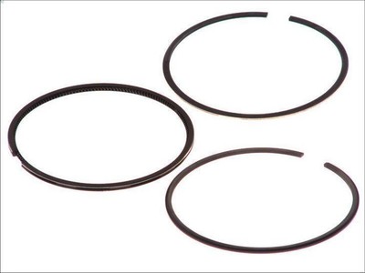 GOETZE 08-179700-00 Elastic Band Kit for O 309 2.3 1968-1989