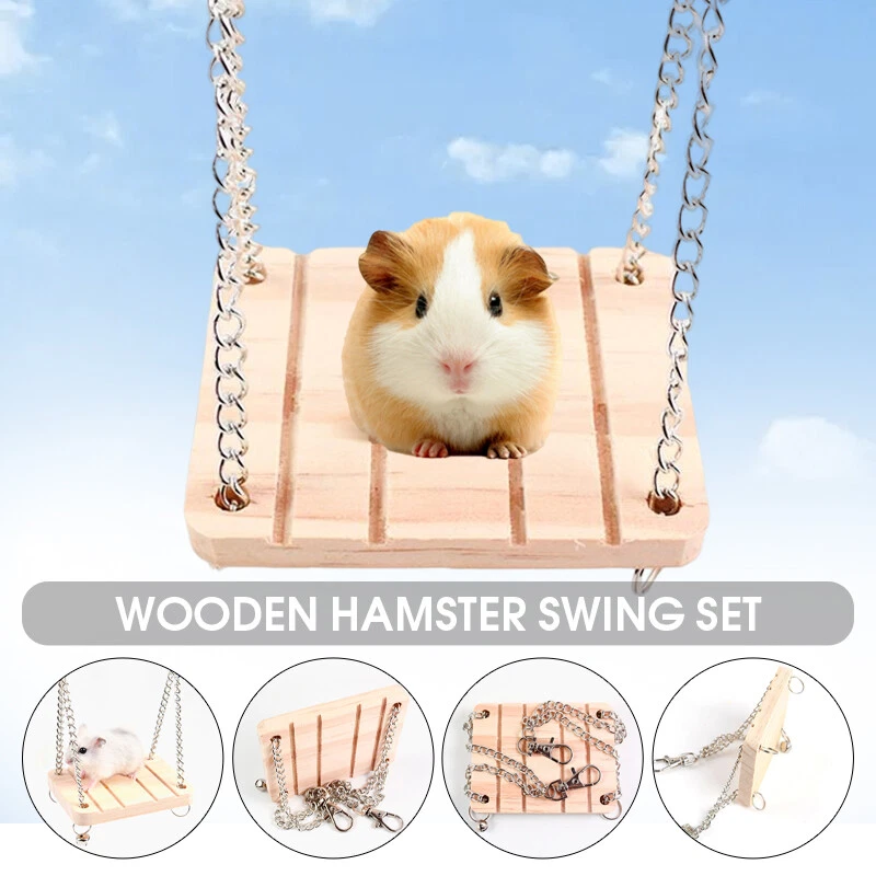 Hamster swing 2025