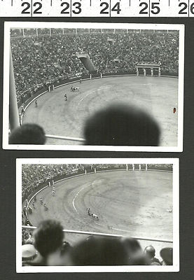 #ad VINTAGE OLD Bamp;W PHOTOS OF A BULL FIGHT IN AN ARENA #3020 $3.99