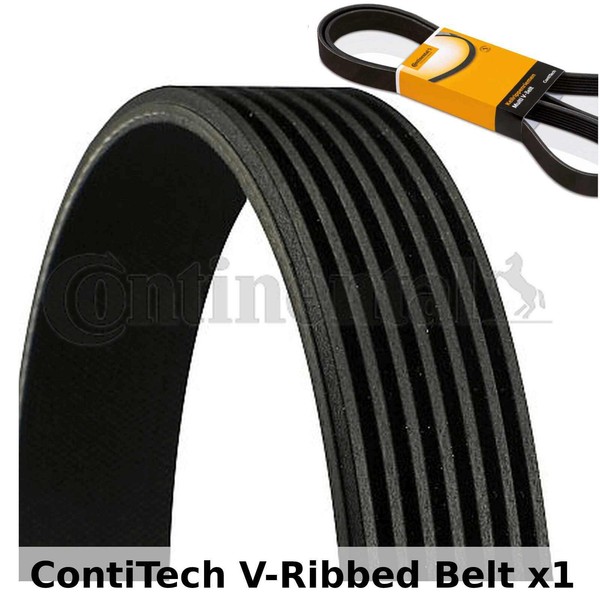 ContiTech Keilrippenriemen 7PK1770 7 Rippen Keilrippen-Fahrriemen Keilriemen-image