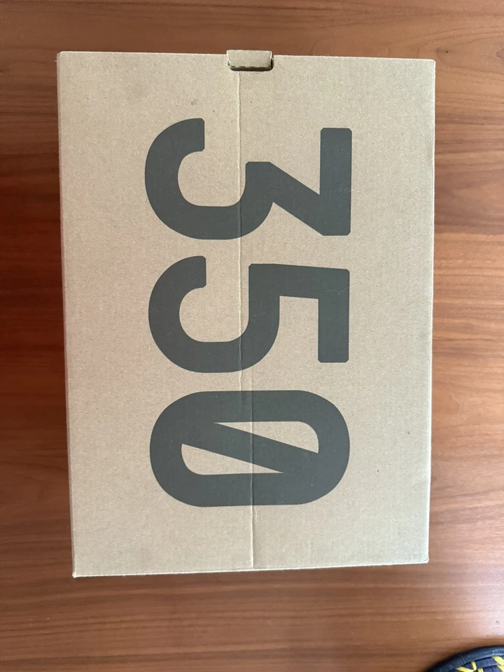 Talla 10 - Adidas Yeezy Boost 350 V2 Mono Arcilla Foto 2 de 4