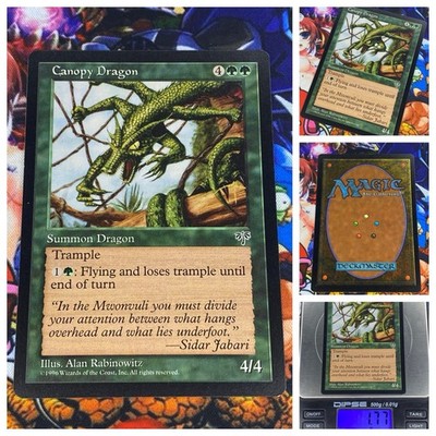 MTG Canopy Dragon     NM Magic The Gathering TCG Mirage 1996 Summon OG
